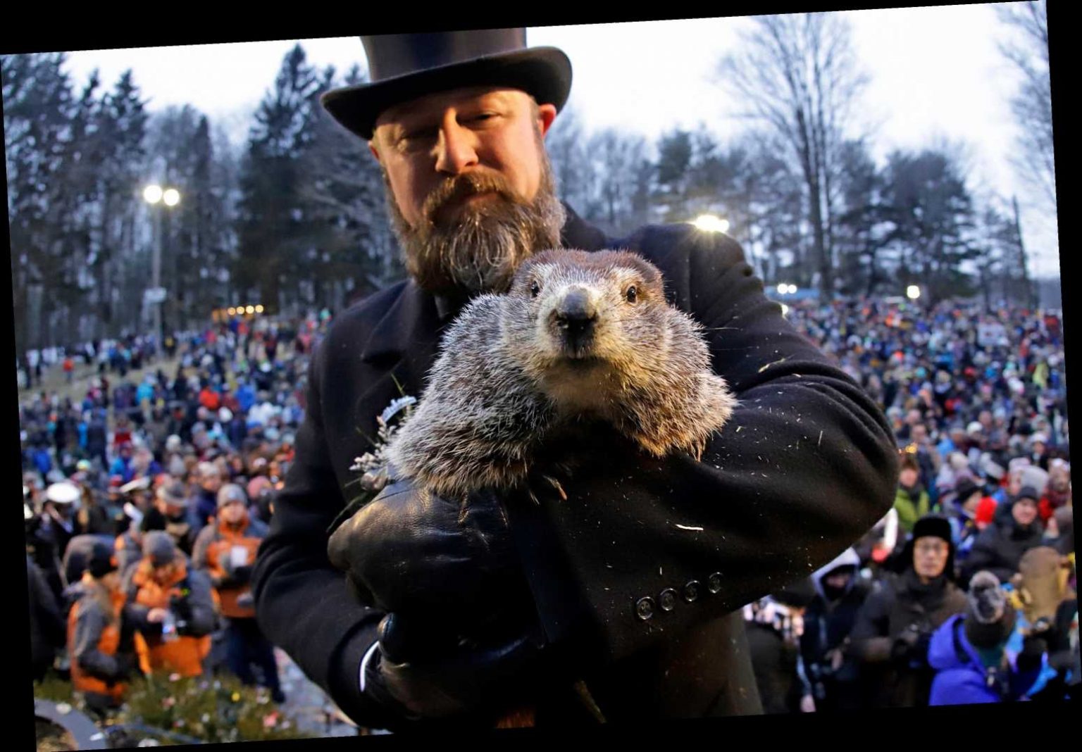 When is Groundhog Day 2021? - Big World News