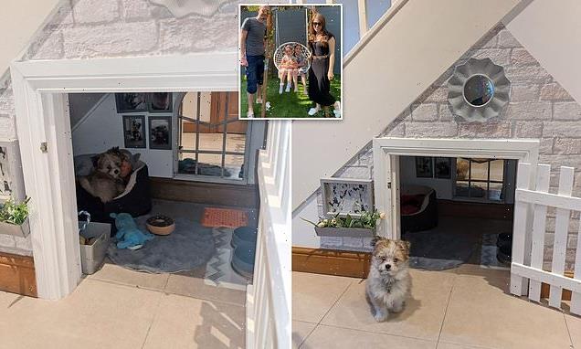 Family create incredible dog house under the stairs for just £100 - Big