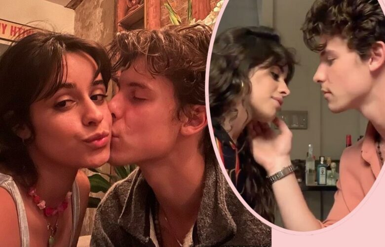 Shawn Mendes Gives Big Clue He Was About To Dump Camila Cabello In